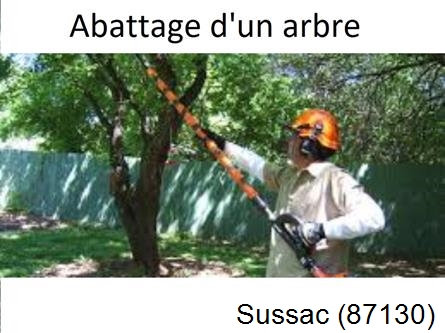 Etêtage et abattage d'un arbre Sussac-87130