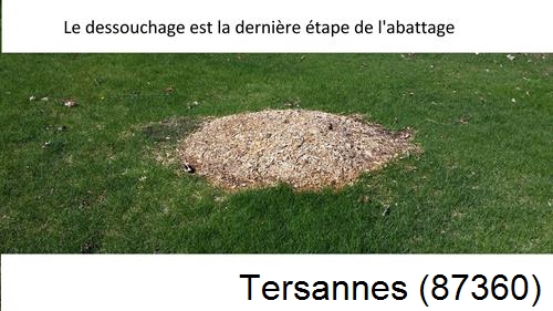 déssouchage d'arbres Tersannes-87360