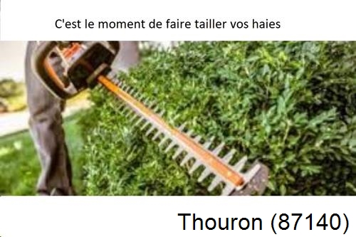 Entreprise de paysage Thouron-87140
