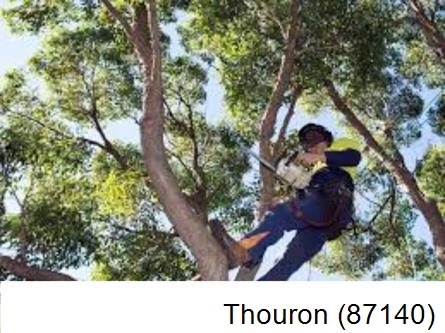Elagueur à Thouron-87140