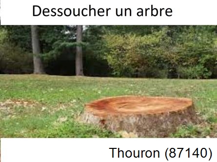 Travaux d'entretien extérieur Thouron-87140