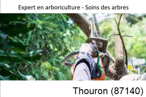 Elagage en sécurité à Thouron-87140