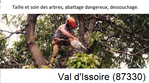 Abattage d'arbres Val d'Issoire-87330