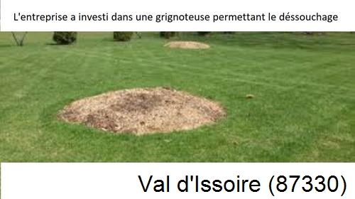 Artisan pour déssouchage d'arbres Val d'Issoire-87330