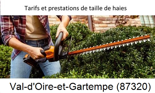 taille de haies Val-d'Oire-et-Gartempe-87320