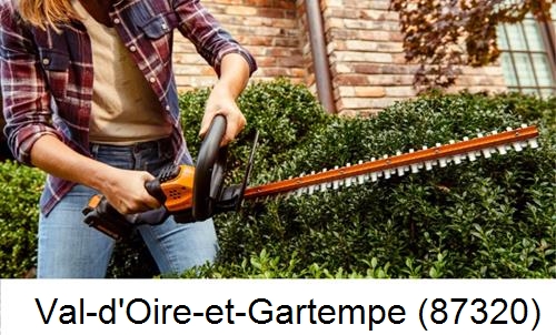 entretien jardin par paysagiste Val-d'Oire-et-Gartempe-87320