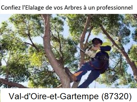 Société d'élagage à Val-d'Oire-et-Gartempe-87320