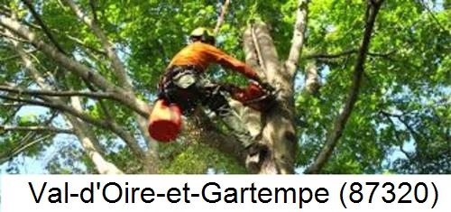 Déssouchage, étêtage d'arbres Val-d'Oire-et-Gartempe-87320
