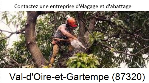 Entreprise d'élagage à Val-d'Oire-et-Gartempe-87320