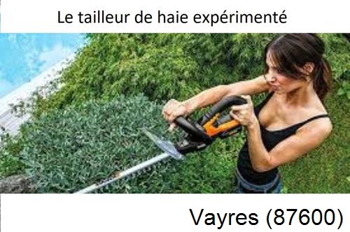 entretien jardin à Vayres-87600