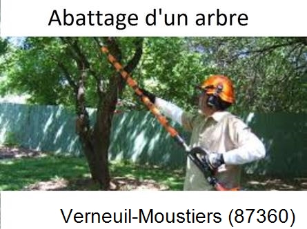 Etêtage et abattage d'un arbre Verneuil-Moustiers-87360