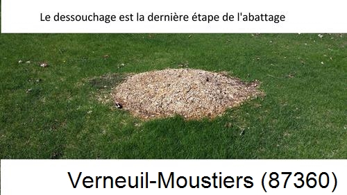 déssouchage d'arbres Verneuil-Moustiers-87360