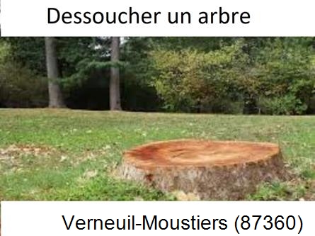 Travaux d'entretien extérieur Verneuil-Moustiers-87360