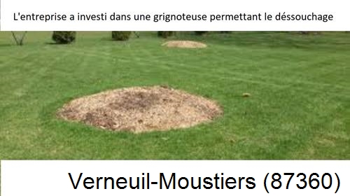 Artisan pour déssouchage d'arbres Verneuil-Moustiers-87360
