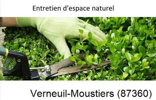 Rénovation jardin particulier Verneuil-sur-Vienne-87430