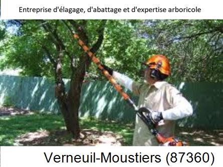 Coupe tête d'arbres Verneuil-Moustiers-87360
