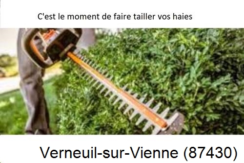 Entreprise de paysage Verneuil-sur-Vienne-87430