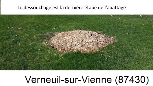 déssouchage d'arbres Verneuil-sur-Vienne-87430
