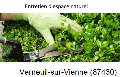 Rénovation jardin particulier Veyrac-87520