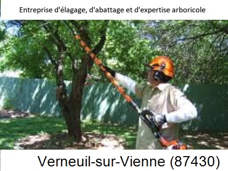 Coupe tête d'arbres Verneuil-sur-Vienne-87430