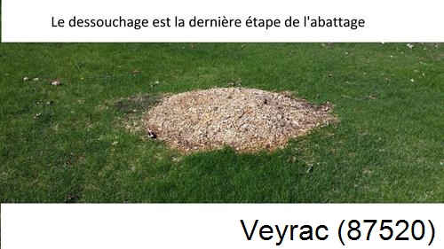 déssouchage d'arbres Veyrac-87520
