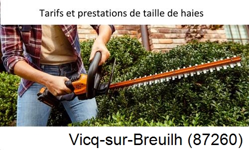 taille de haies Vicq-sur-Breuilh-87260