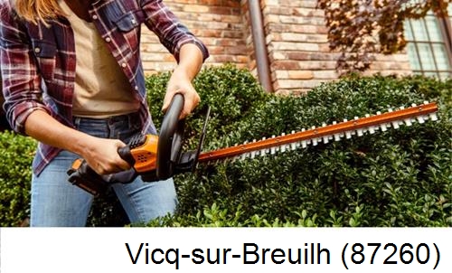 entretien jardin par paysagiste Vicq-sur-Breuilh-87260