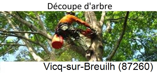 Entreprise du paysage Vicq-sur-Breuilh-87260