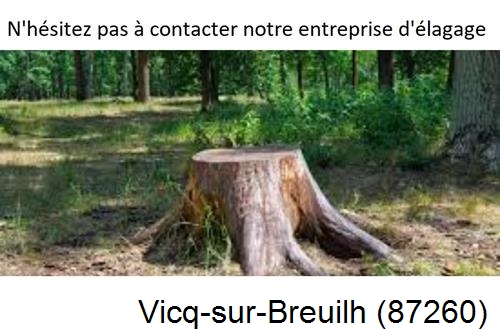 Elagage d'arbres à Vicq-sur-Breuilh-87260