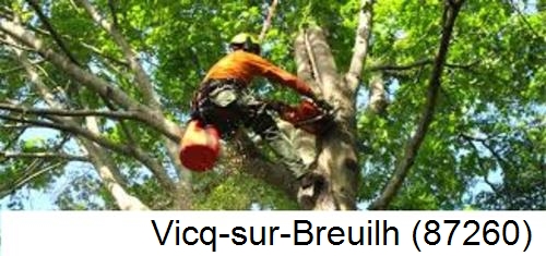 Déssouchage, étêtage d'arbres Vicq-sur-Breuilh-87260
