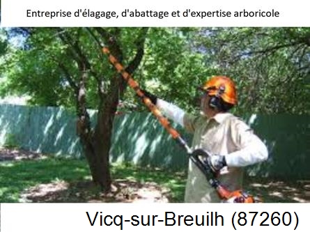 Coupe tête d'arbres Vicq-sur-Breuilh-87260
