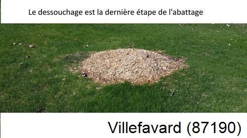 déssouchage d'arbres Villefavard-87190