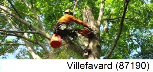 Déssouchage, étêtage d'arbres Villefavard-87190
